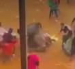 El caballo sufrió heridas luego de ser corneado por un toro. Murió en el lugar. FOTO: CORTESÍA