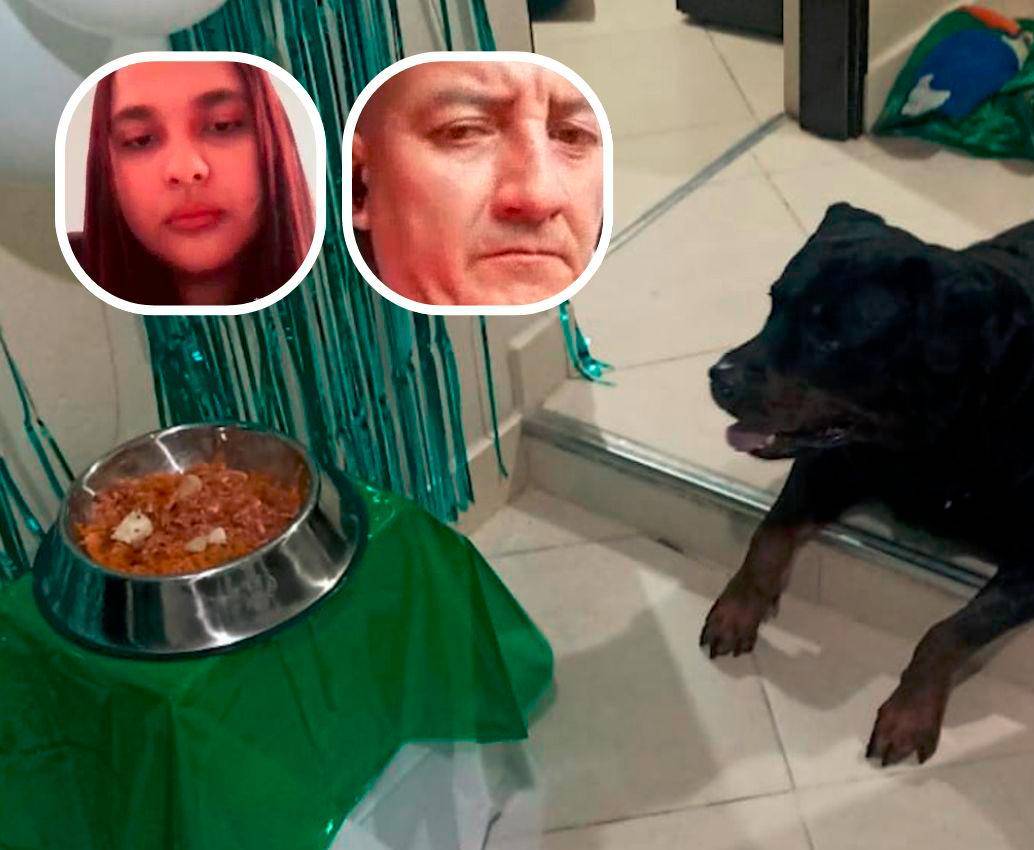 La veterinaria Daniela Montes Tapia (detalle, izquierda) y Luis Fernando Galvis Blanco (detalle, derecha) fueron procesados por la muerte del perro, llamado Aquiles (foto principal) dentro de una vivienda del barrio Popular, de Medellín. FOTOS: CORTESÍA
