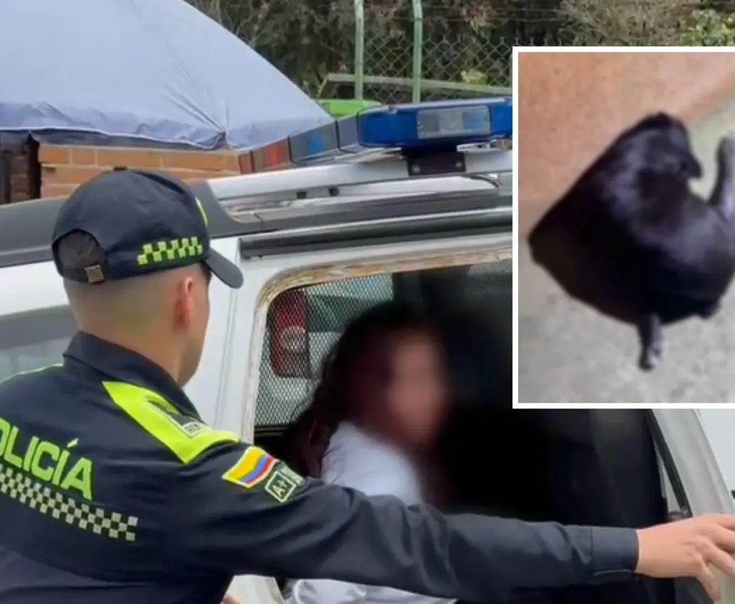 La mujer, de 39 años, será procesada por el delito de maltrato animal, luego de que se conociera del ataque en contra del canino en San Antonio de Prado. FOTOS: CORTESÍA-POLICÍA METROPOLITANA