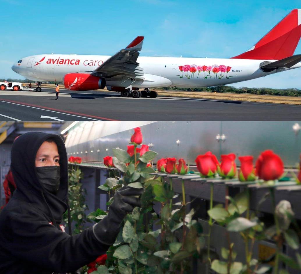 Avianca y Latam destacaron el transporte de flores desde Colombia por San Valentín 2024. FOTOS AVIANCA Y LATAM