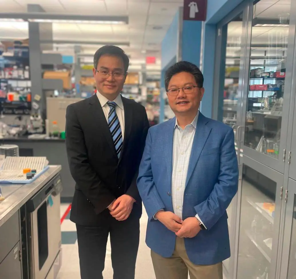 Los investigadores Yilai Shu (izquierda), de la Universidad de Fudan, y Zheng-Yi Chen (derecha), científico asociado del Mass Eye and Ear de Boston. FOTO: Mass General Brigham.