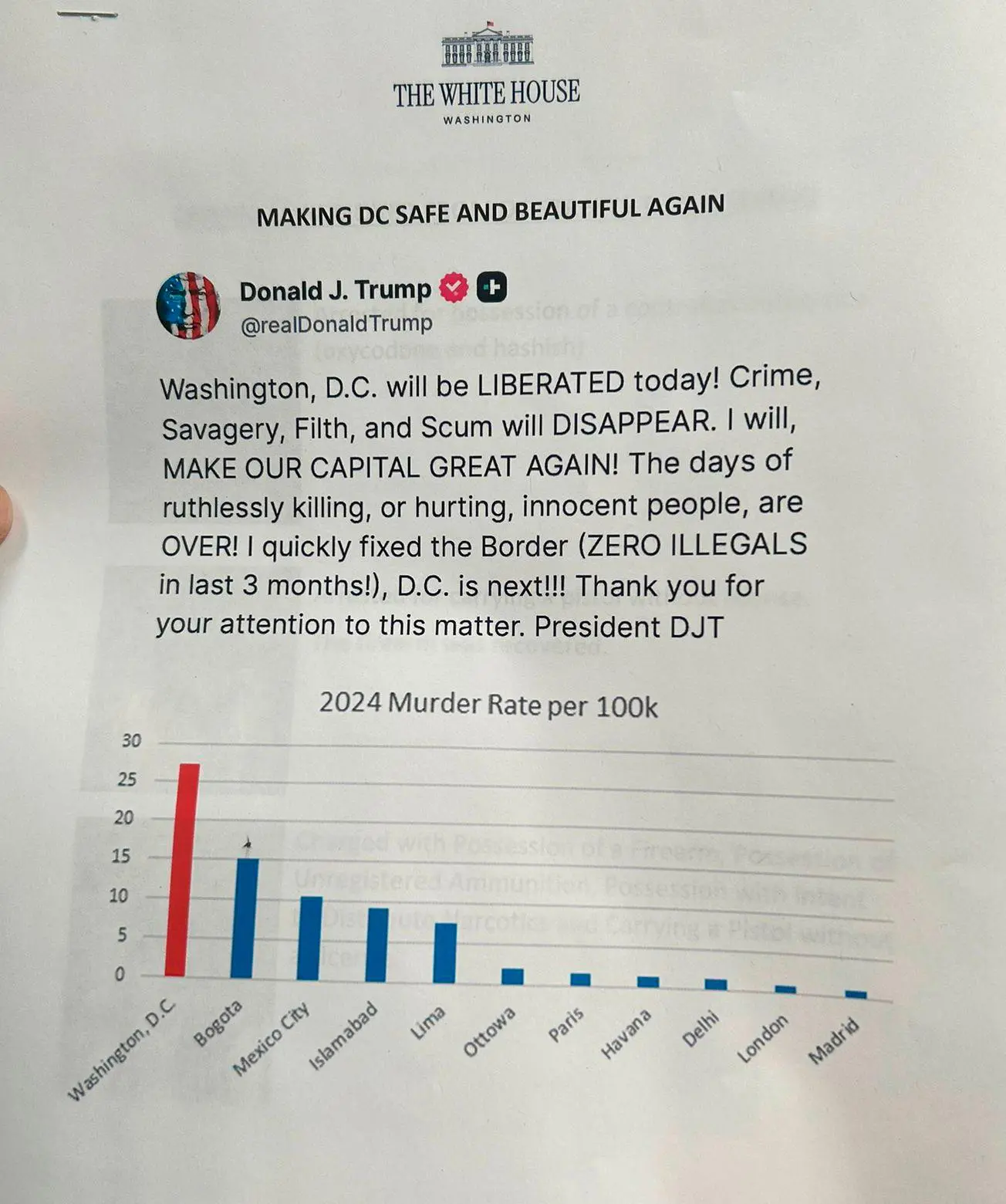 InfogrÃ¡fico