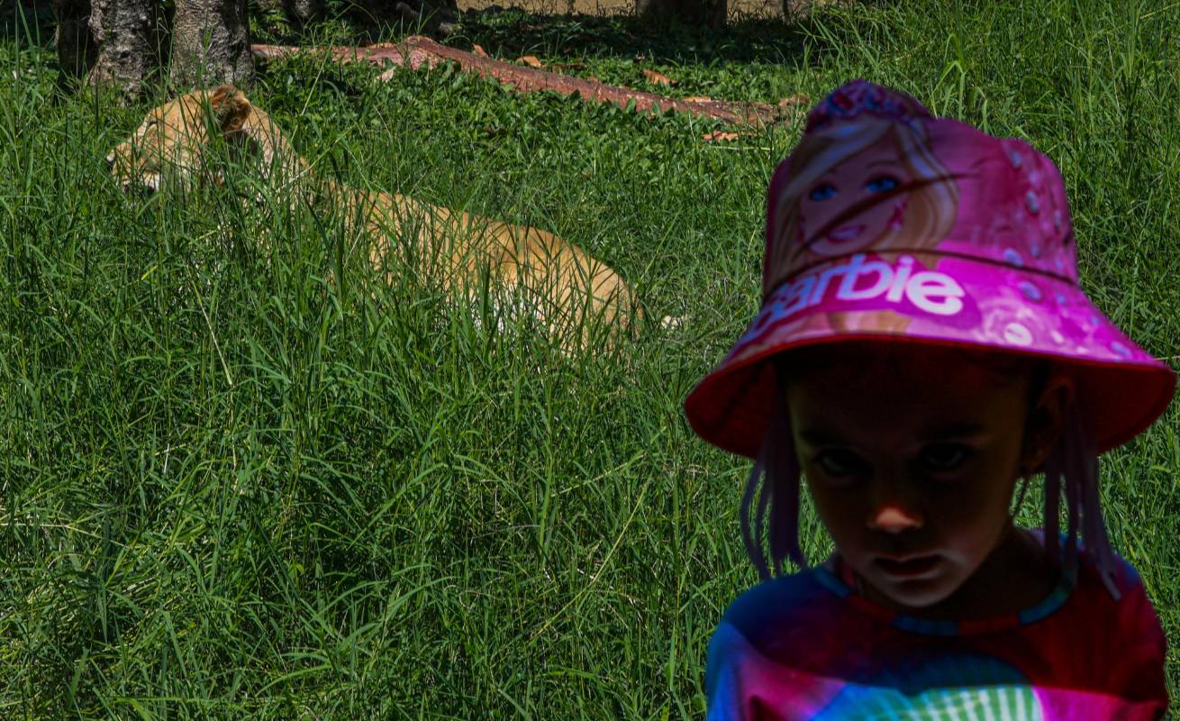 Al combinar el aprendizaje con el juego, el parque se convierte en un espacio ideal para que los niños desarrollen su curiosidad y conciencia ecológica. Foto: Manuel Saldarriaga Quintero.