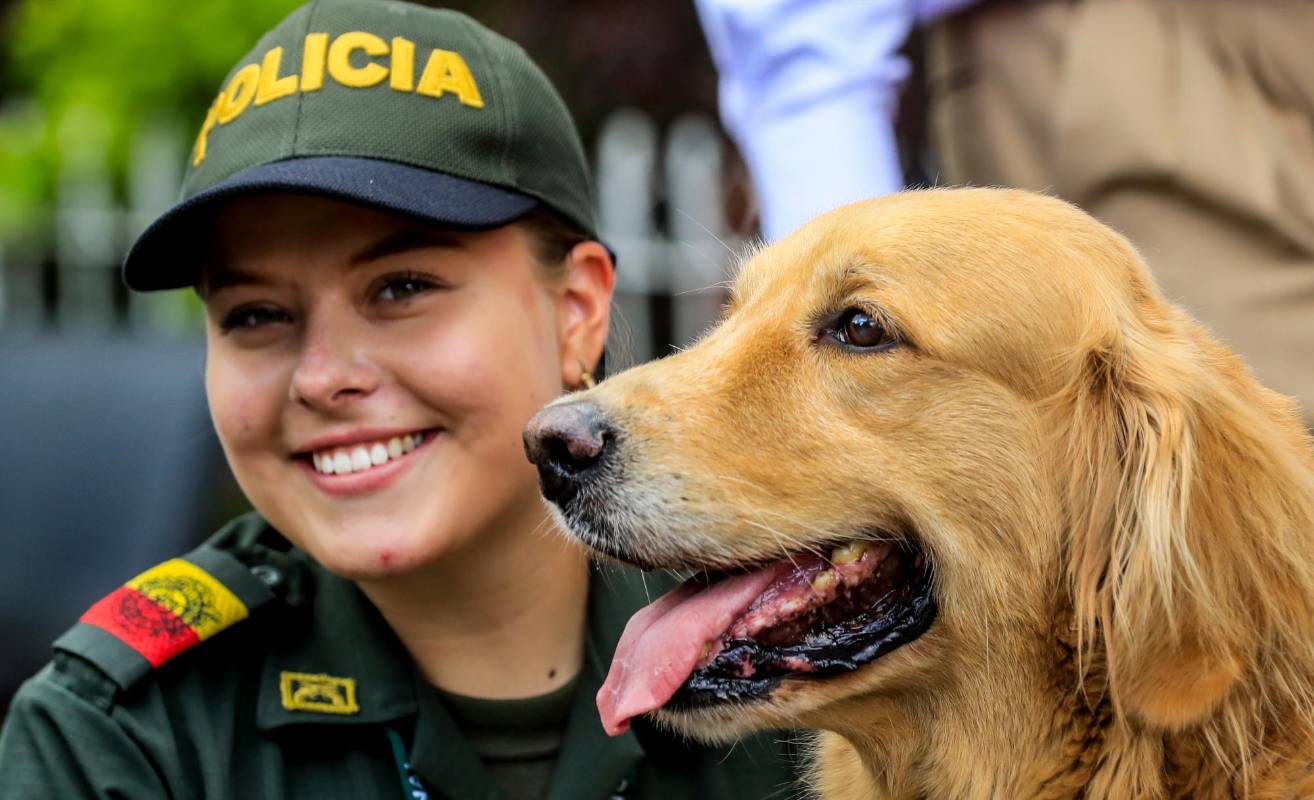 Generalmente los perros y gatos abandonados son mestizos o criollos y estos animales son más fuertes, sanos y menos vulnerables a enfermedades características de los animales «de raza». FOTO JAIME PÉREZ