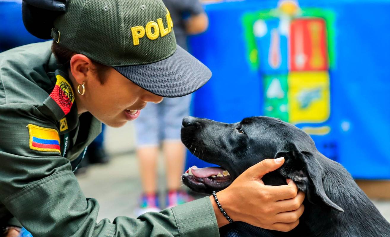 La jornada se realizó en el municipio de Copacabana donde se invitaron a las familias para adoptar y disfrutar de las actividades. FOTO JAIME PÉREZ