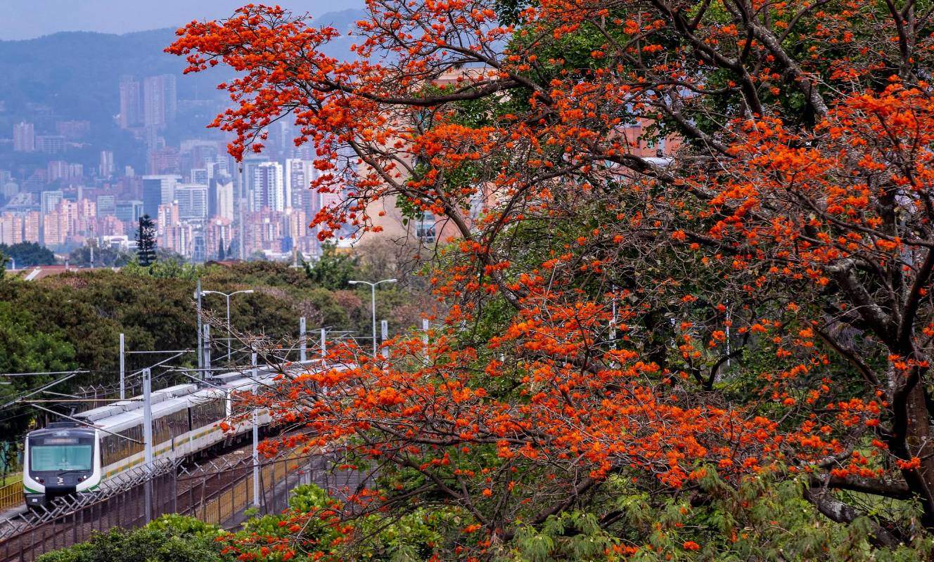 Gran parte de ellos se encuentran ubicados a lo largo del corredor del río Medellín. Foto: Jaime Pérez
