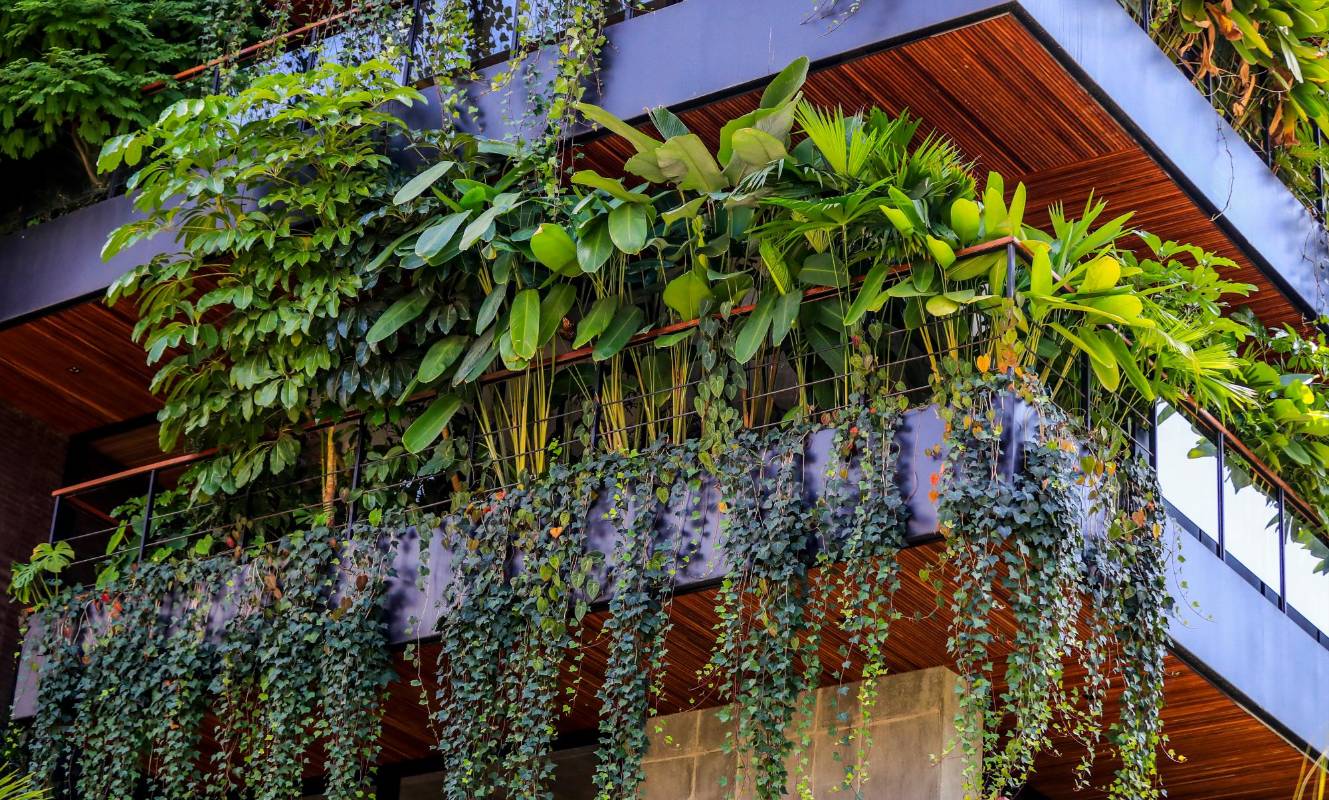 Los jardines también aprovechan las aguas lluvias, regulan y suavizan las temperaturas de los edificios. FOTO: Jaime Pérez