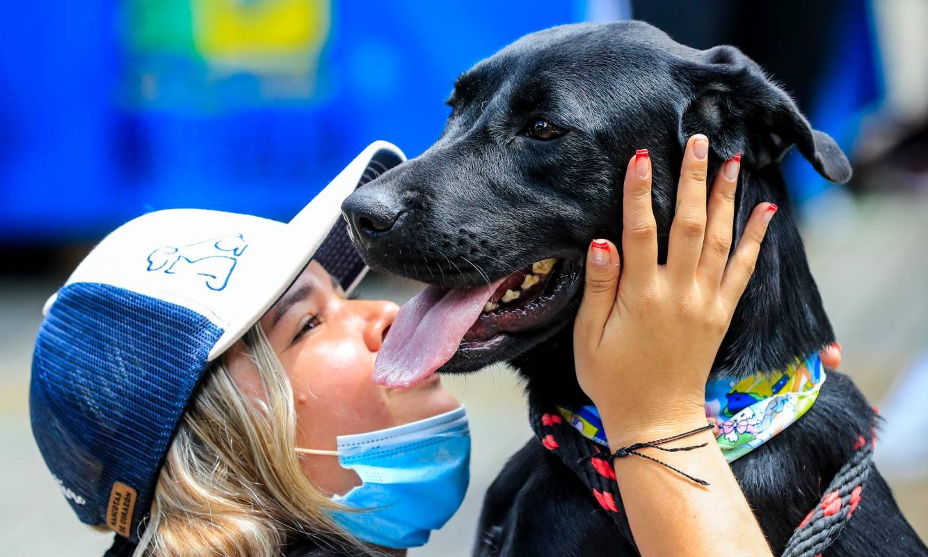 La fundación pro animalista del municipio de Copacabana realizó una feria para darle un segundo hogar a animales de calle. FOTO JAIME PÉREZ