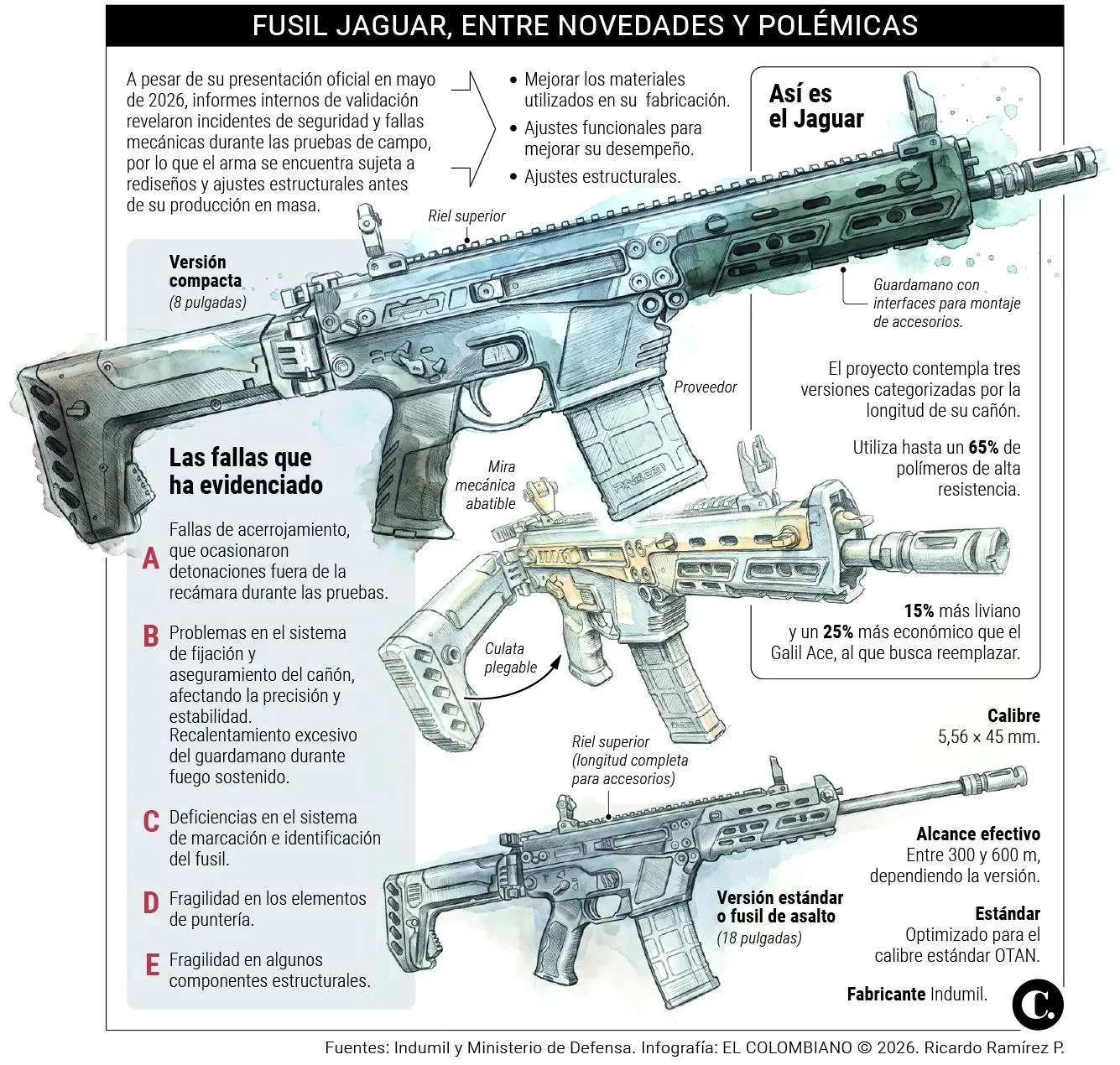 InfogrÃ¡fico