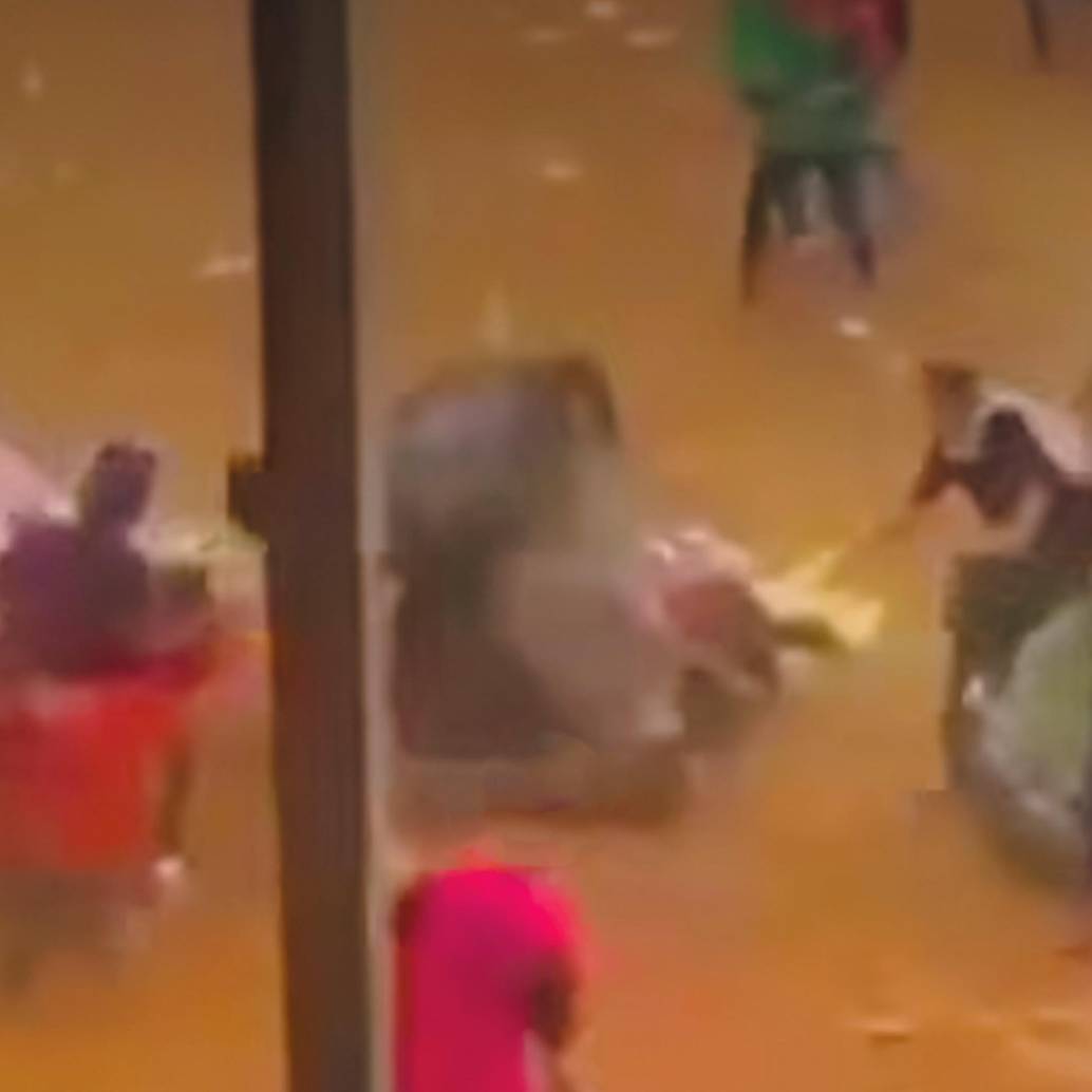 El caballo sufrió heridas luego de ser corneado por un toro. Murió en el lugar. FOTO: CORTESÍA