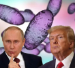 Trump confirmó que pretende tener una llamada con Putin para abordar el posible caso de peste neumónica en Rusia. FOTO: Science Photo Library / AFP / Imagen creada con IA