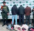 Estos fueron los capturados por manipular estas carnes que pretendían ser incluidas en el mercado, según las autoridades. FOTO: CORTESÍA POLICÍA ANTIOQUIA