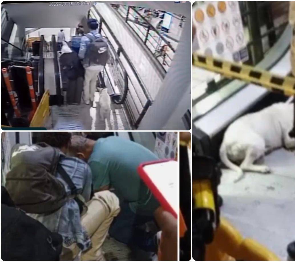 La emergencia ocurrió el pasado 15 de octubre, en el Centro Comercial Terminal del Norte. FOTOS: Cortesía Teleantioquia Noticias