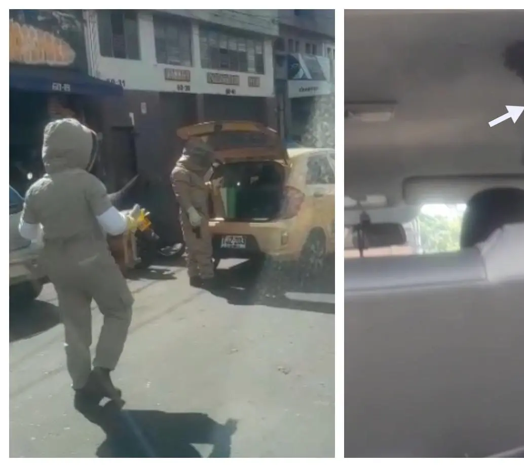 El equipo de control de abejas procediendo a retirar el panal que estaba dentro del taxi. FOTO Cortesía Denuncias Antioquia. 