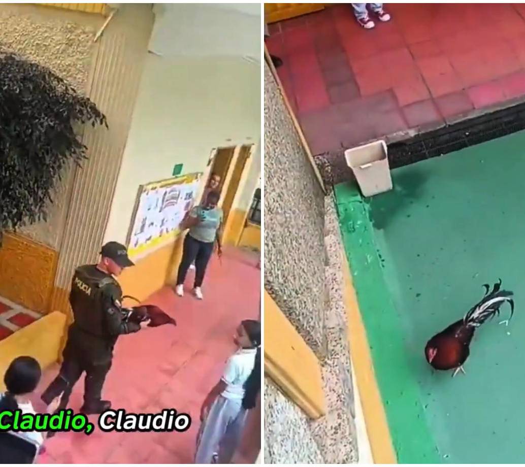 Por fortuna, Claudio fue hallado sano y salvo y devuelto a la institución educativa, donde lo recibieron con gran alegría y júbilo.