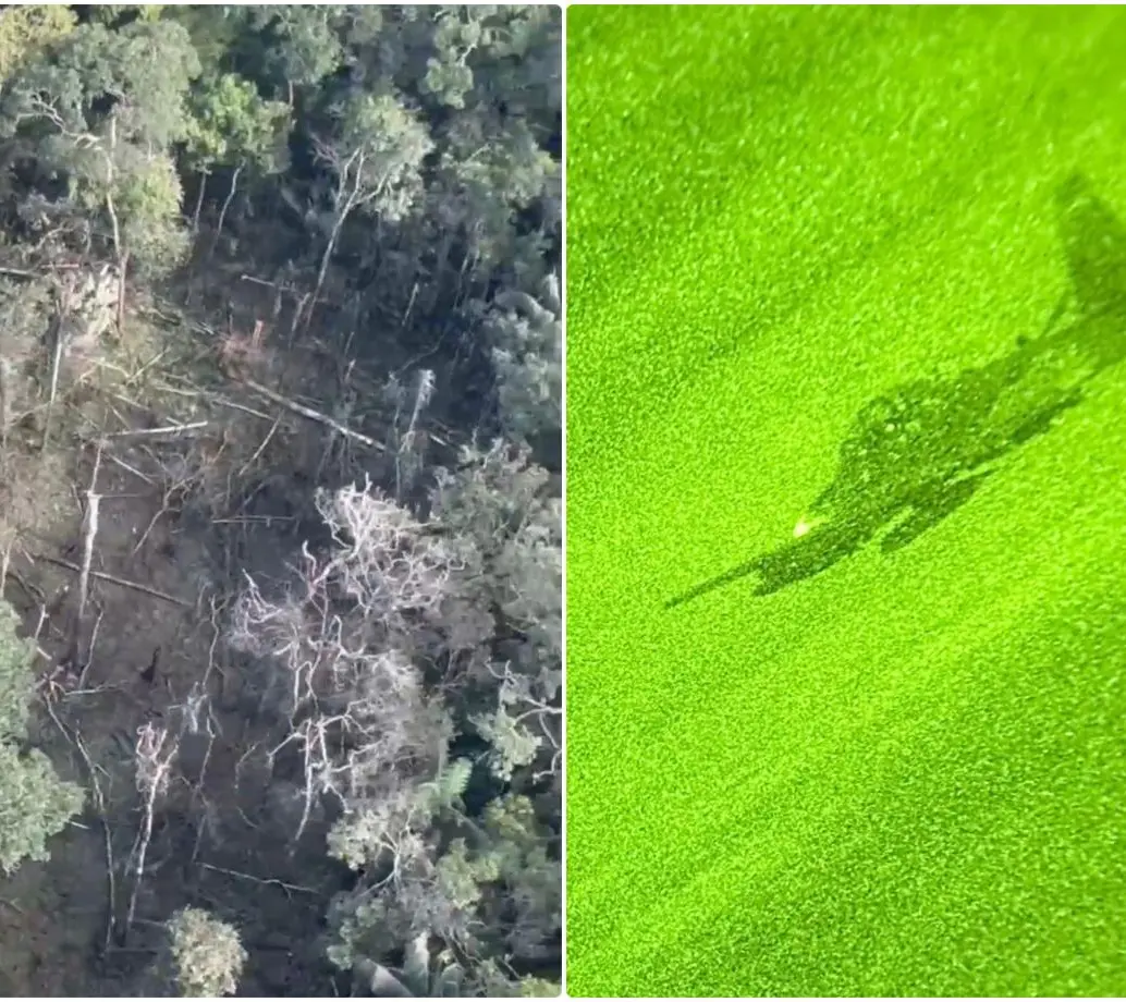 En un reciente operativo realizado en el municipio de Calamar, Guaviare, fallecieron por lo menos siete menores de edad. FOTO: Cortesía Ministerio de Defensa