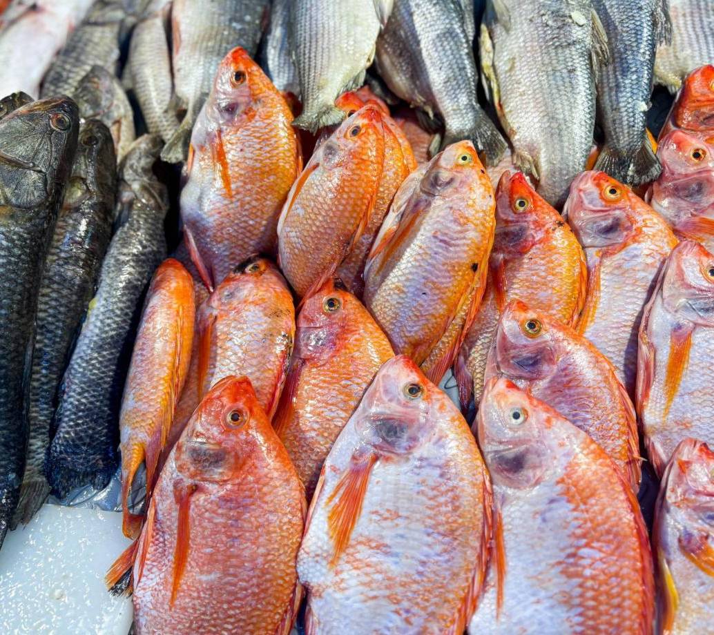 Imagen de referencia de pescados listos para la venta en la capital antioqueña. FOTO: Cortesía Alcaldía de Medellín