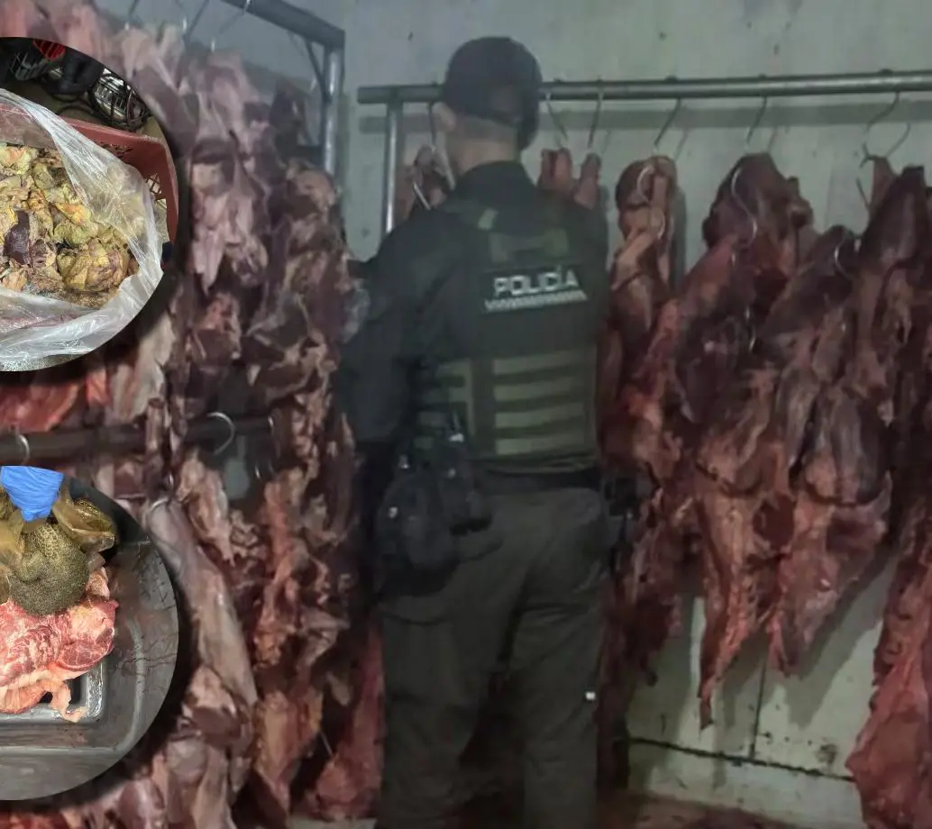 Así lucía parte de la carne incautada en Campo Valdés. FOTOS Policía Metropolitana. 