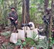Un perro entrenado fue clave para encontrar los bultos con los explosivos en la selva. FOTO: CORTESÍA DEL EJÉRCITO.