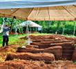 Las labores forenses son realizadas por personal especializado de la Unidad de Búsquedas. FOTO CORTESÍA UBPD