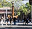 Entre las novedades está Medicina Veterinaria en el campus de El Carmen de Viboral, mientras que Historia llegará a los campus de Santa Fe de Antioquia y Carepa. FOTO Julio Herrera.