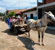 El documental Soñé contigo de Ángela Carabalí se estrenó en el festival Hot Docs de Toronto y en el SFFILM de San Francisco. Foto cortesía.
