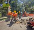 15 cuadrillas trabajan día y noche en diferentes comunas de la ciudad tapando huecos. FOTO: CORTESÍA ALCALDÍA