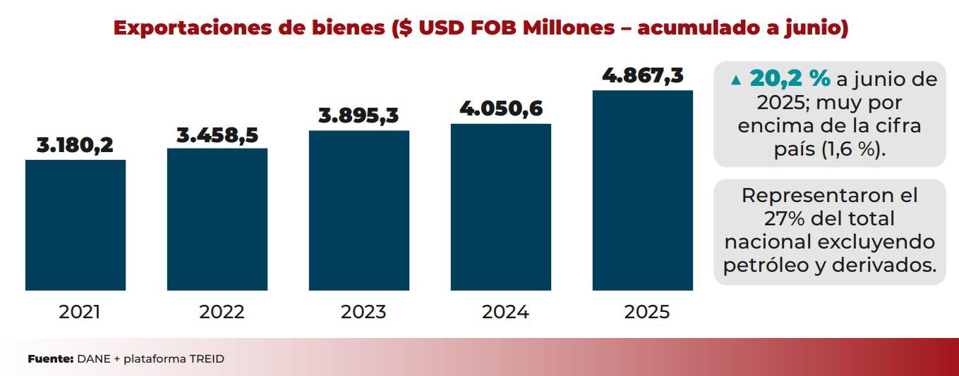 InfogrÃ¡fico