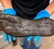 El zapato de 32,6 centímetros, equivalente a una talla 49, descubierto en el Muro de Adriano. FOTO Europa Press