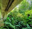 Así se ve, desde la parte baja del viaducto de la estación Estadio del metro, el nuevo sistema de riego aéreo en Medellín para mejorar las condiciones de más de 10.000 plantas ornamentales. FOTO Camilo Suárez.