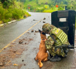 El equipo especializado en neutralización de explosivos adelantó el operativo. Foto: cortesía Ejército.