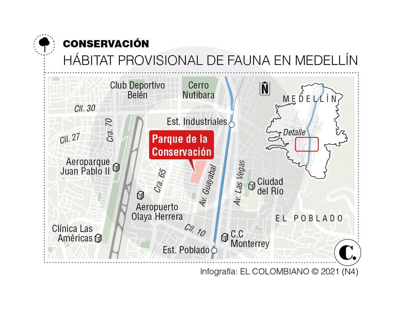 InfogrÃ¡fico