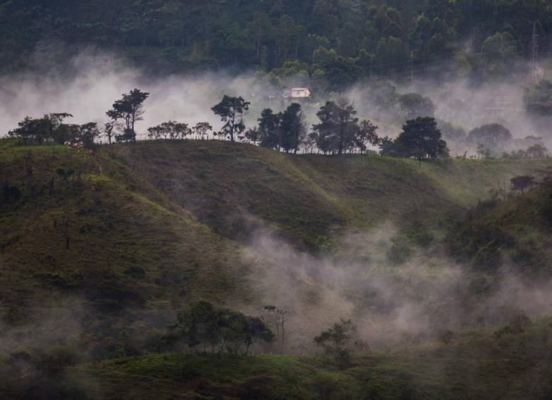 Es normal que la Tierra “tiemble”, lo ha hecho desde hace millones de años y, según los expertos, lo seguirá haciendo por muchos más. FOTO JULIO CÉSAR HERRERA.