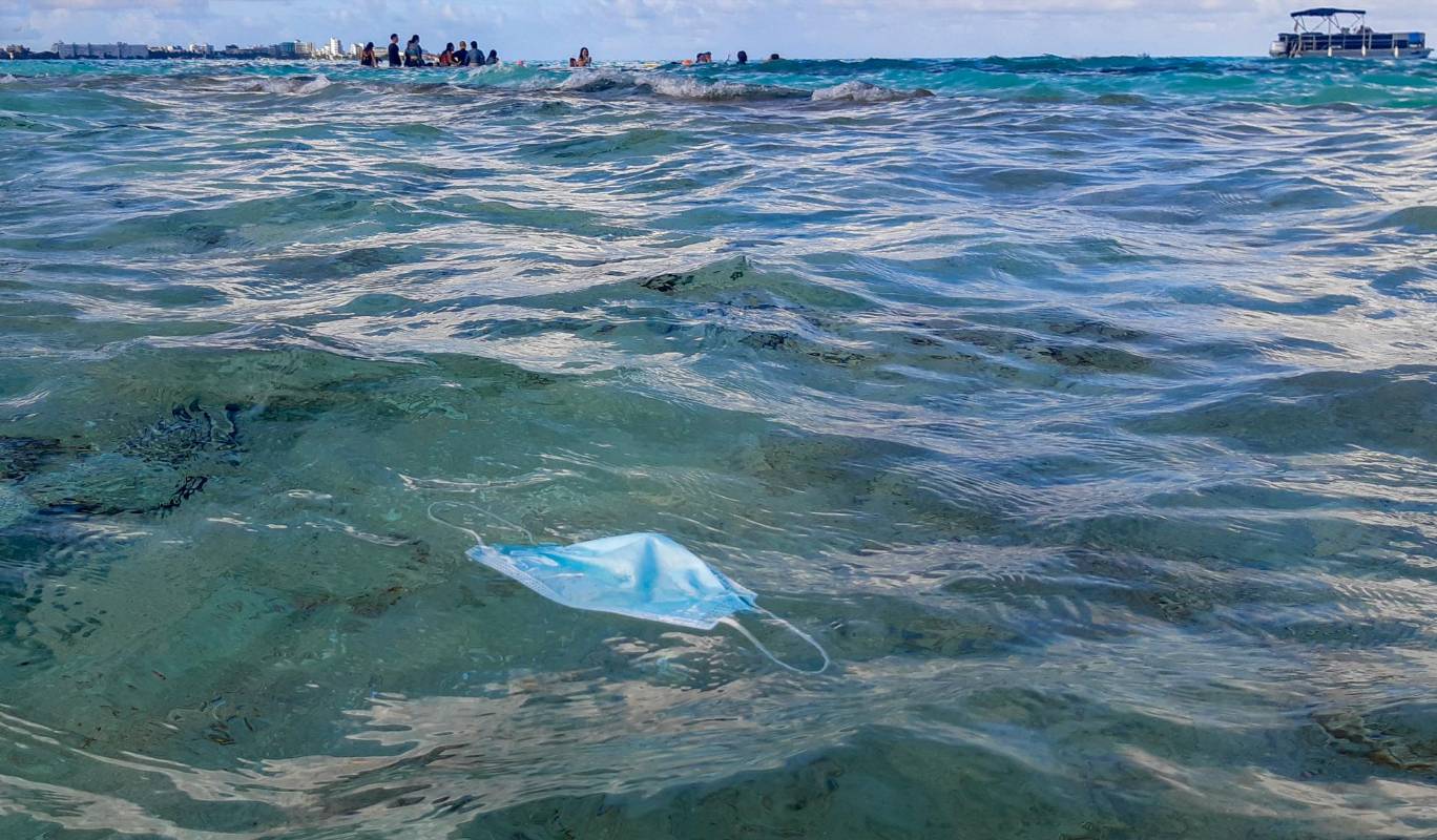 Esta contaminación también tiene un impacto negativo en la pesca y la industria del turismo, y le cuesta a la economía mundial un estimado de 13 mil millones de dólares por año: Foto: Juan Antonio Sánchez Ocampo