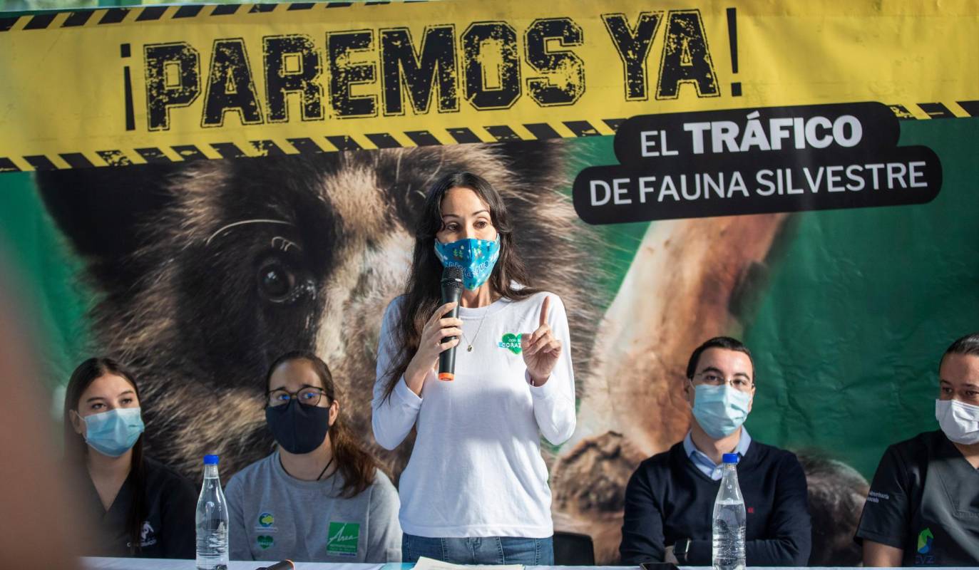 Con la entrega del felino se hace un llamado a la comunidad para que protejamos las especies animales que habitan en las montañas antioqueñas. Foto : Camilo Suárez