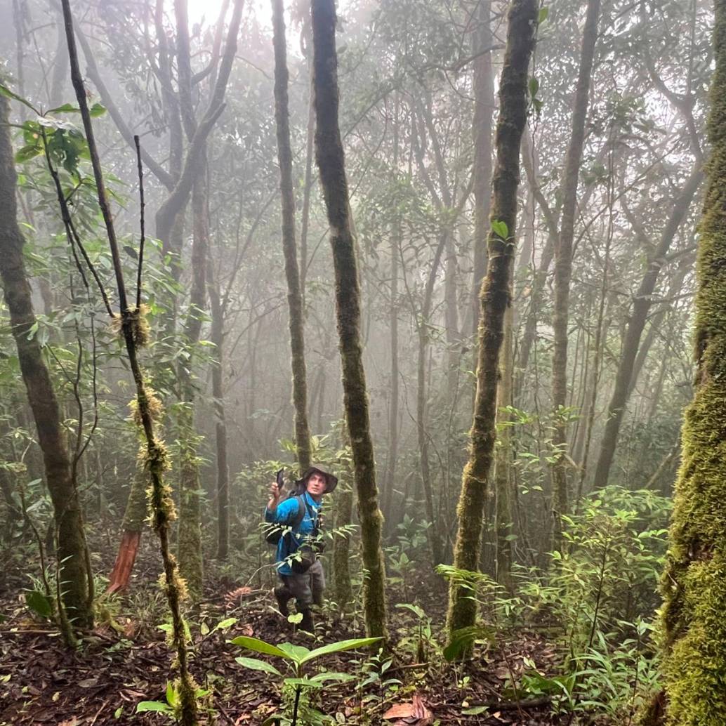 La recuperación de senderos alcanzó los 57.000 metros cuadrados en 2025. FOTO: CORTESÍA ALCALDÍA DE MEDELLÍN
