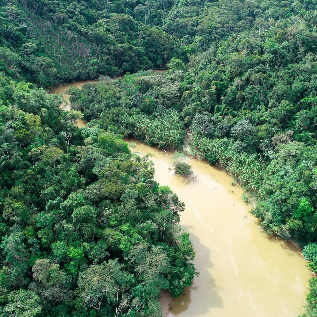 En 2024, la jurisdicción de Cornare registró 343 hectáreas deforestadas, menos del 0,5 % del total nacional. FOTO cortesía Cornare