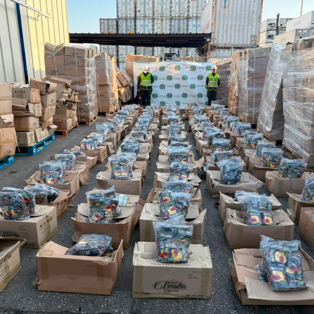 En estas bolsas de condimentos alimenticios estaba oculta la cocaína. FOTO: CORTESÍA DE POLICÍA.