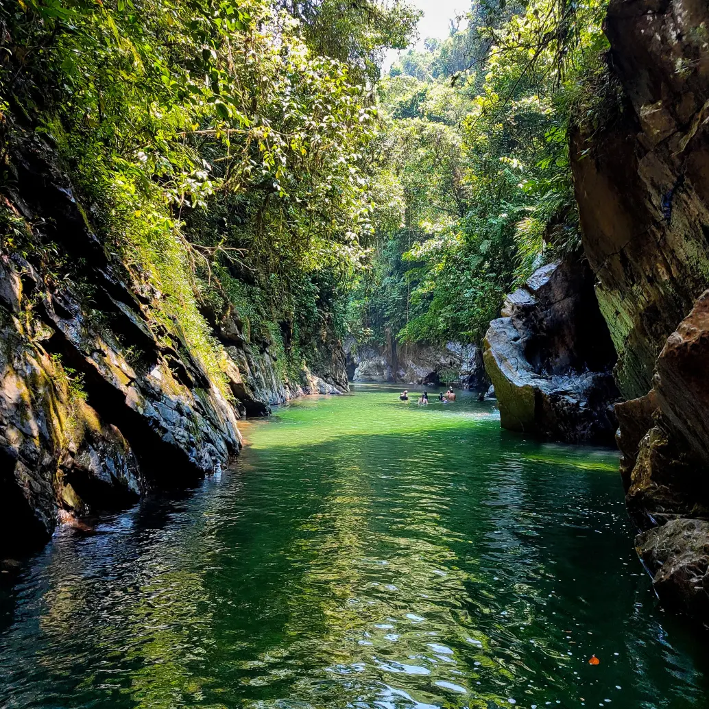 El cañón del río Melcocho conserva una de las mayores biodiversidad en Antioquia. FOTO: JULIO HERRERA
