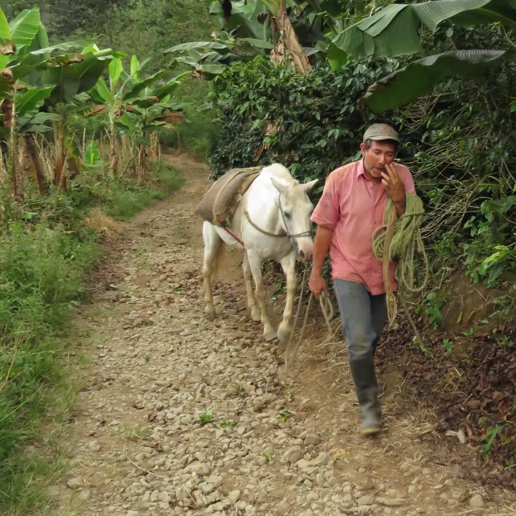 Fabio de Jesús Berrío es un campesino de Ciudad Bolivar. FOTO: ARCHIVO FAMILIAR