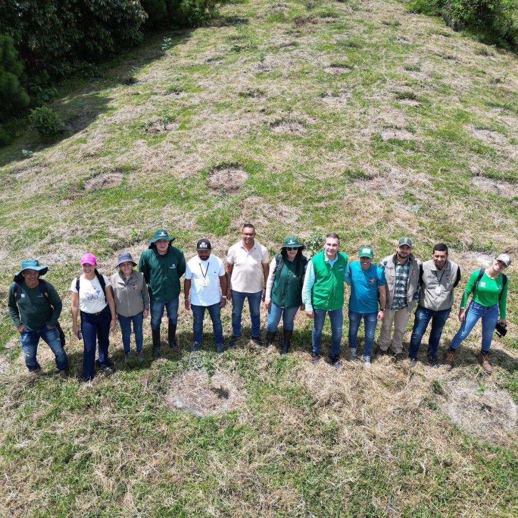 Esperan sembrar más de 214.000 árboles nativos. FOTO: CORTESÍA GOBERNACIÓN
