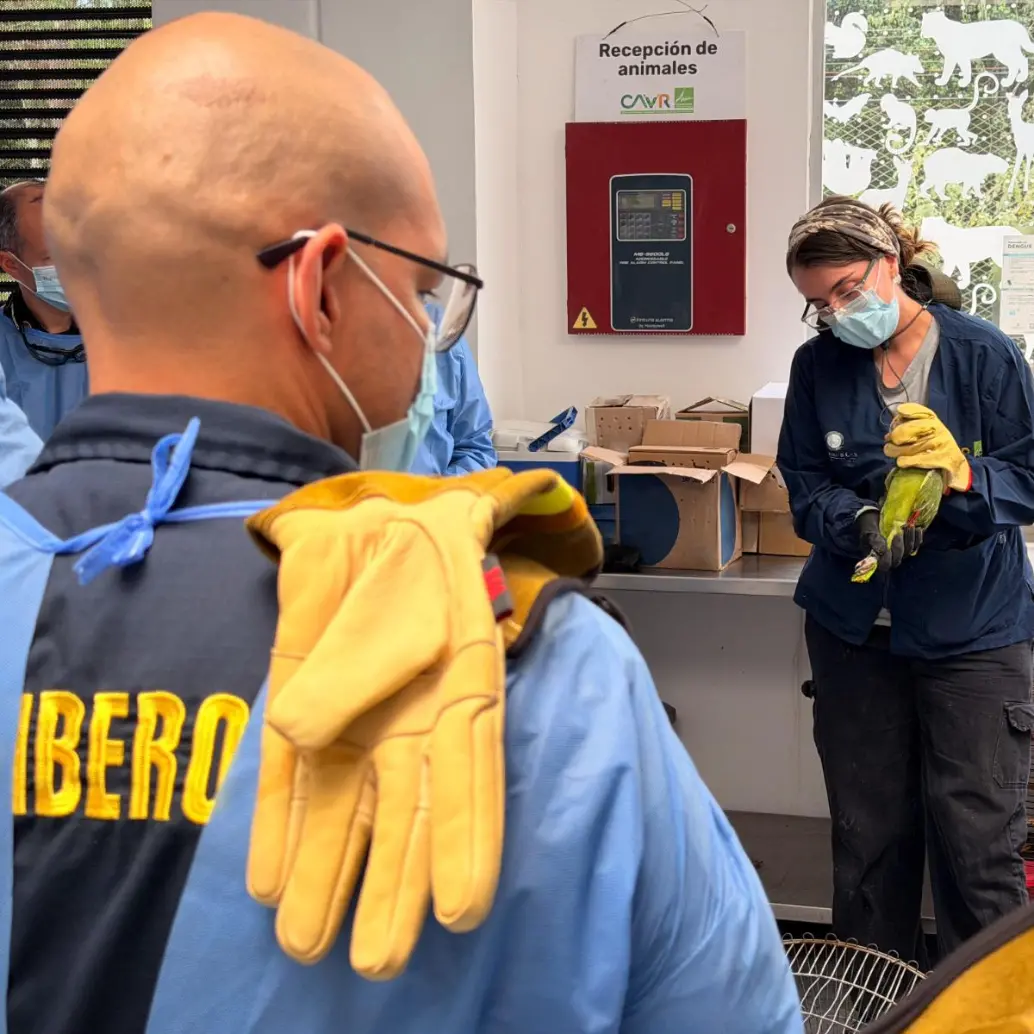 Uno de los miembros de los bomberos recibiendo la capacitación. FOTO: Cortesía