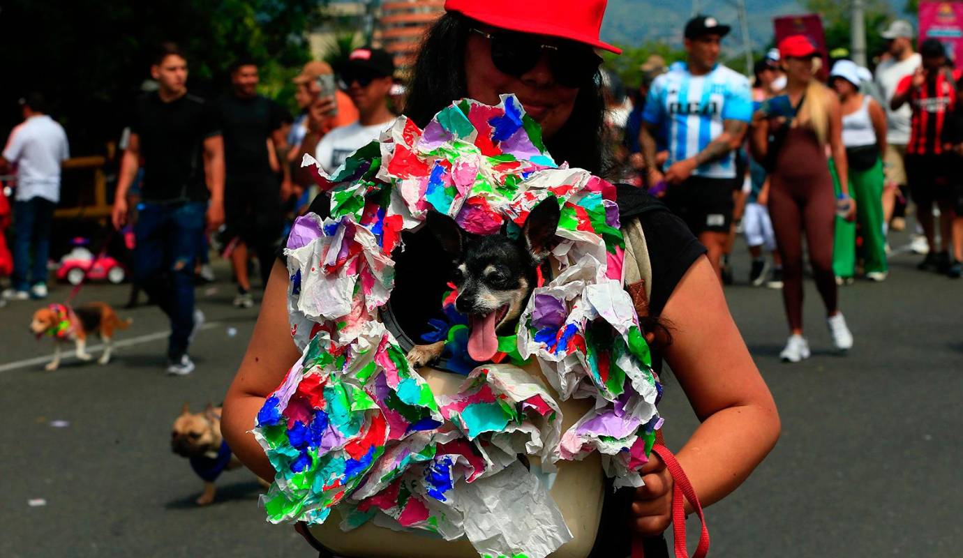 La actividad no solo fomenta la tenencia responsable de animales, sino que también promueve un mensaje más amplio sobre la importancia del respeto y el cuidado hacia todos los seres vivos. FOTO: Camilo Suárez Echeverry