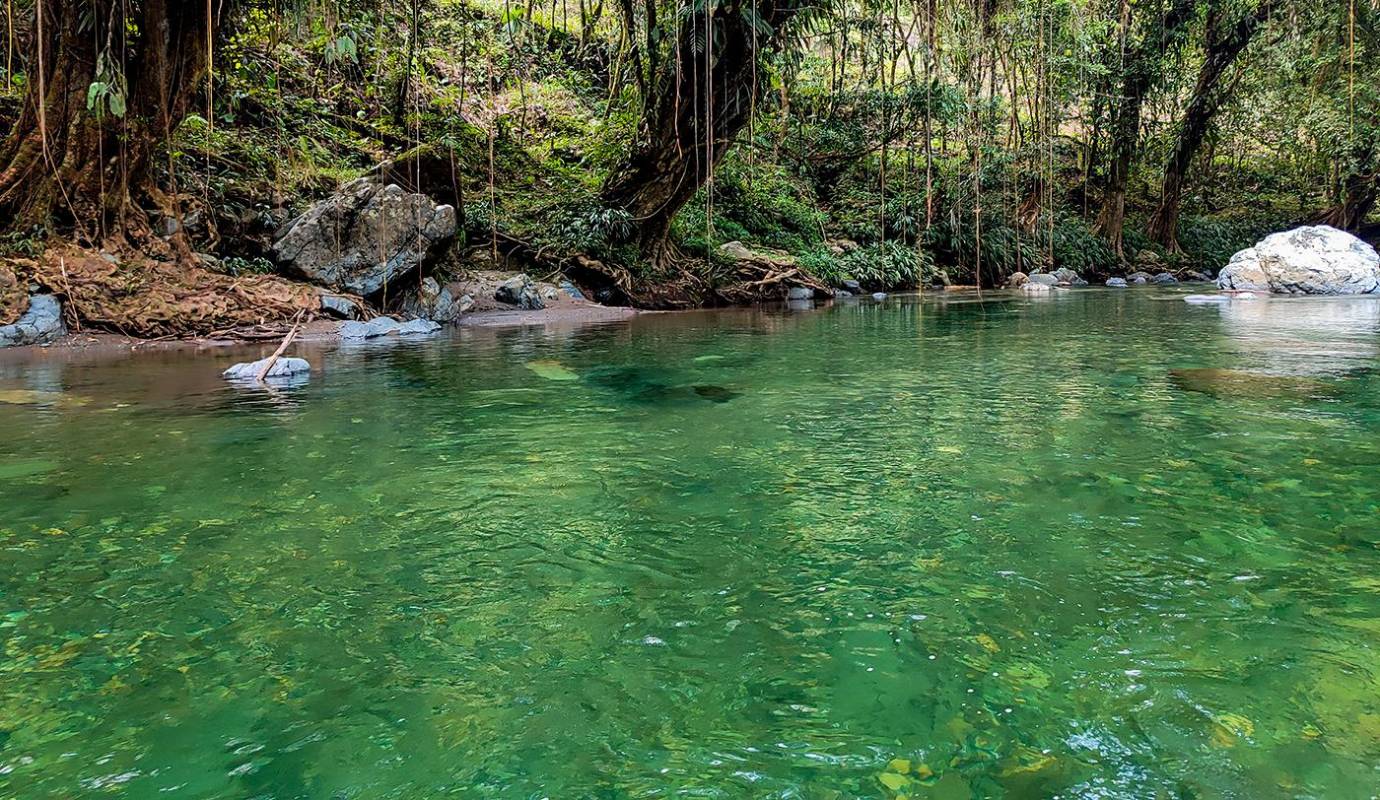 Las fotos y vídeos de un río transparente, de tonalidades verdosas que parecía una pantalla de descanso de computador despertaron el interés de los turistas ávidos de colonizar nuevos paisajes en medio del atropello y el despelote. Foto Juan Diego Ortíz