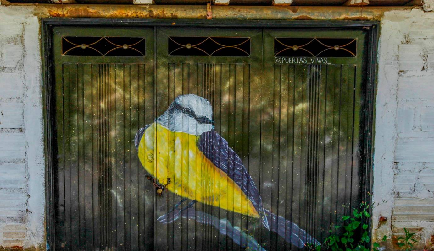 “Puertas Vivas” no es solo una iniciativa artística, sino también un proyecto comunitario que busca generar conciencia sobre la importancia de la conservación del medio ambiente. Foto: Julio César Herrera