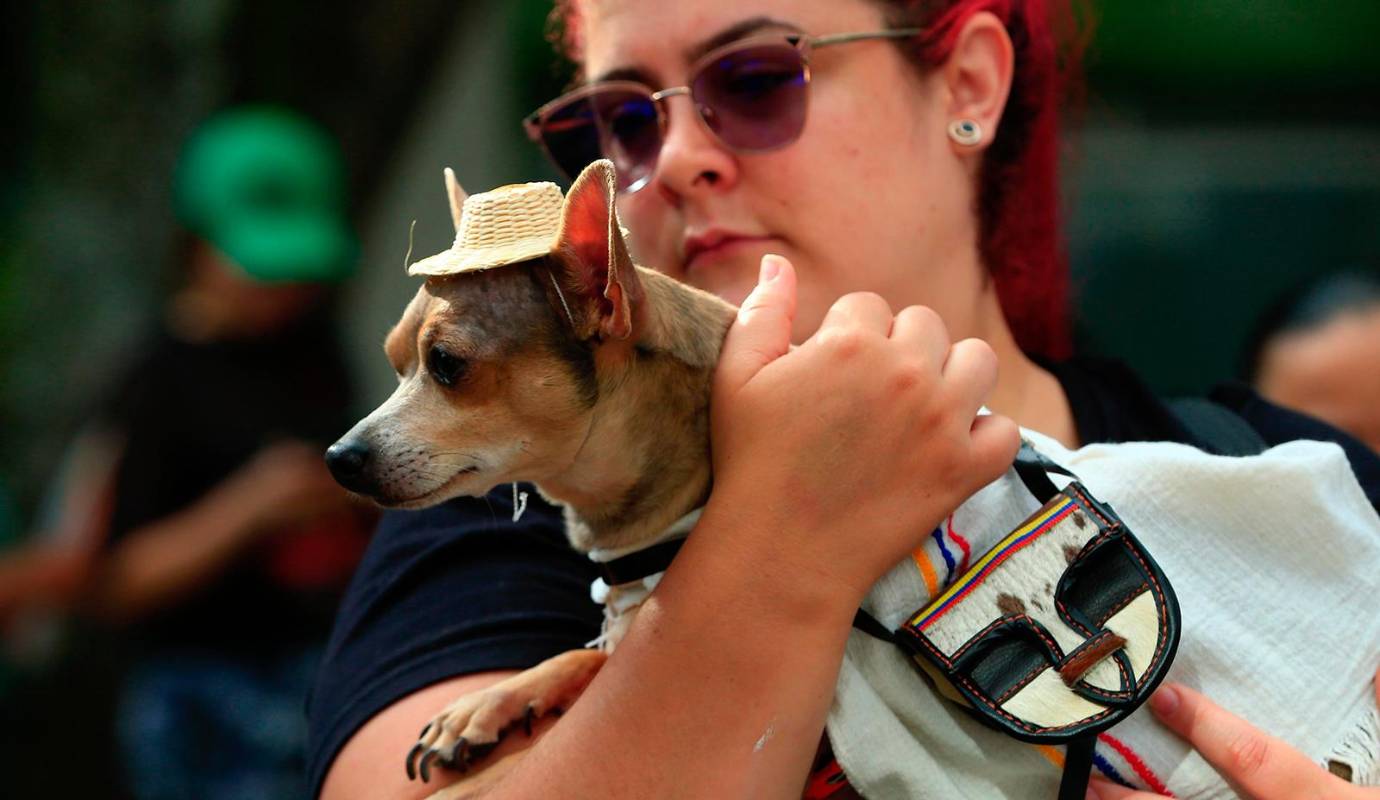 Este evento, que se ha consolidado como un símbolo de amor, respeto y conexión entre humanos y animales. FOTO: Camilo Suárez Echeverry
