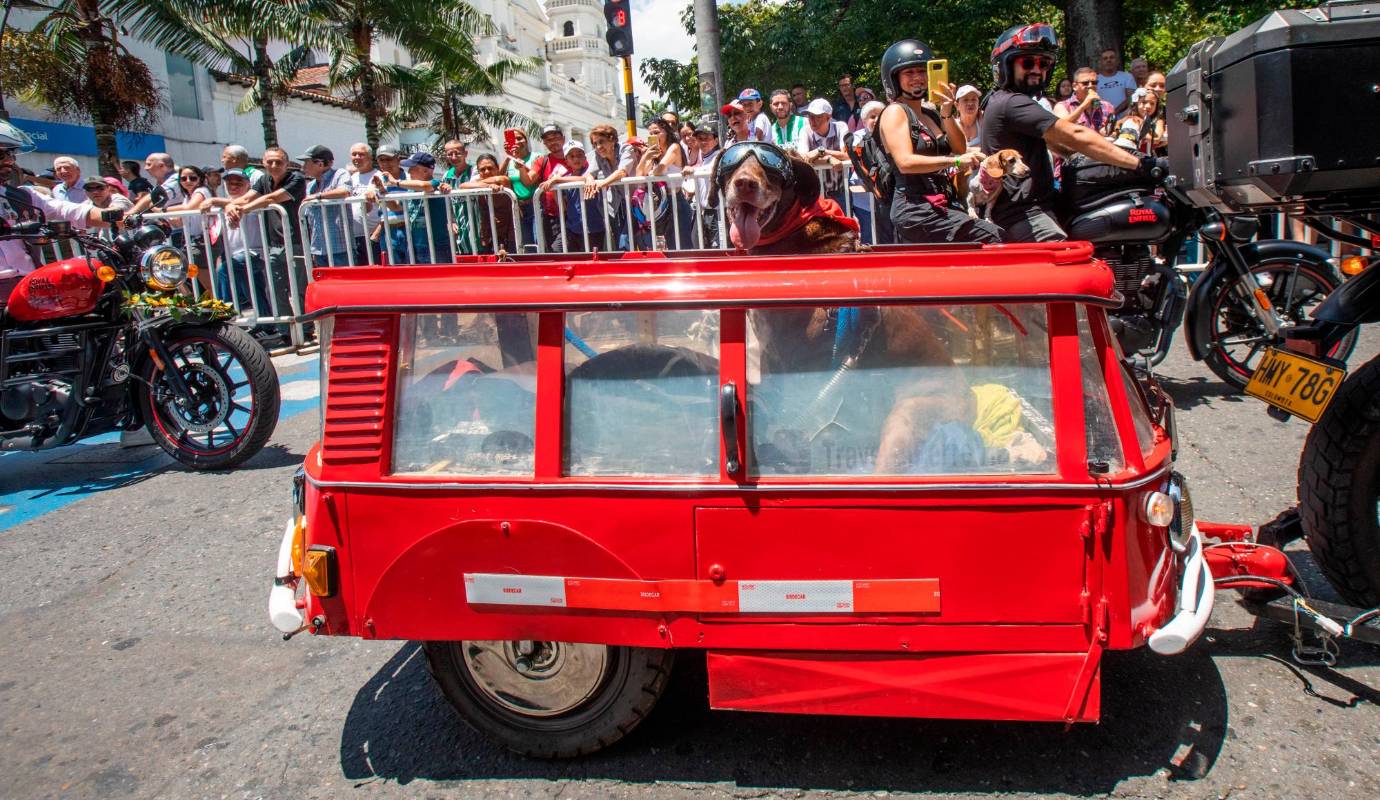 El recorrido se realizó por las s principales vías de la Ciudad Señorial donde se reunieron los amantes es estos vehículos de todas las marcas y épocas. Foto: Esneyder Gutiérrez 