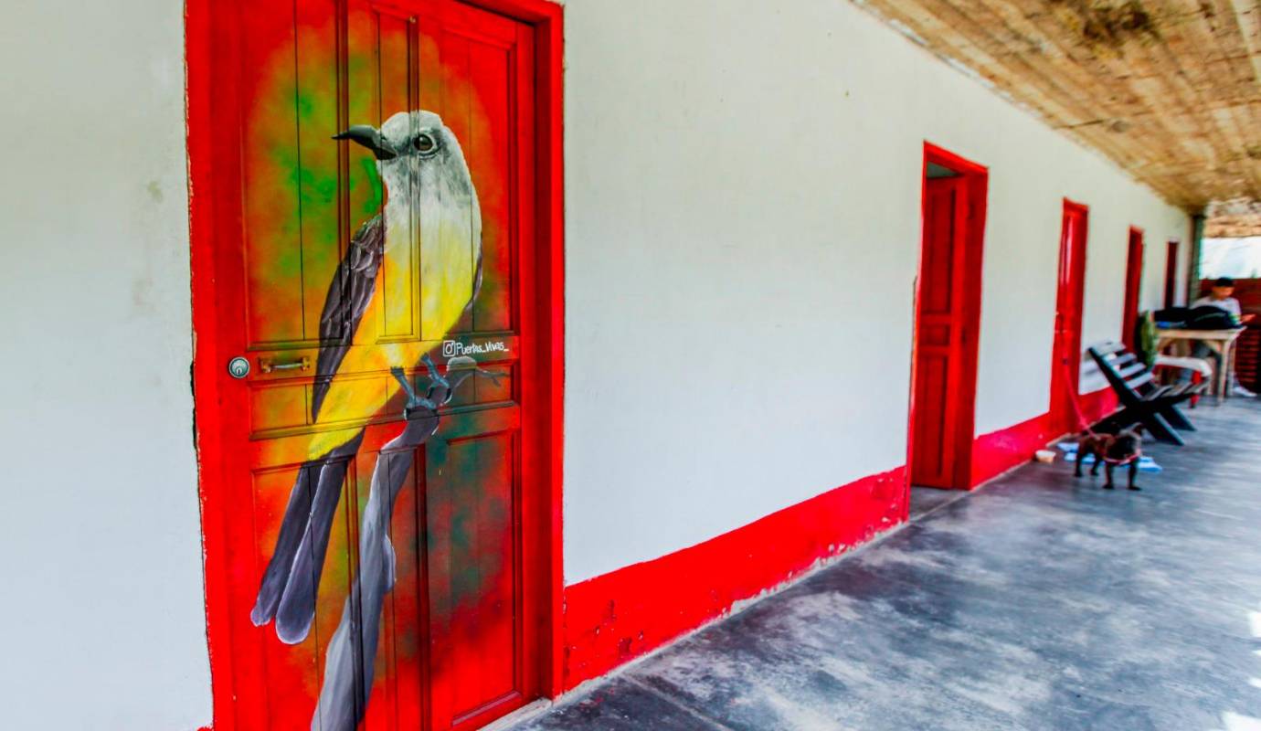 La intervención artística ha captado la atención de turistas y visitantes, convirtiéndose en un atractivo adicional para quienes transitan por esta renovada carretera. Foto: Julio César Herrera