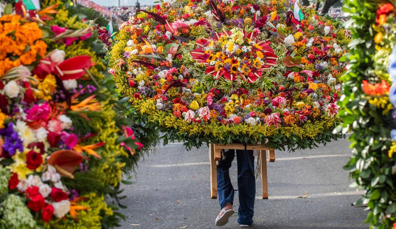 Las coloridas silleta brillaron aún más bajo la lluvia. El Desfile de Silleteros fue un espectáculo de color y tradición que cautivó a todos los asistentes. Foto: Esneyder Gutiérrez 