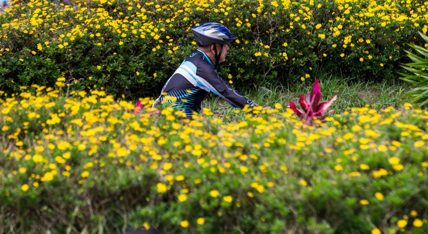  La Bicicleta, es usada estratégicamente como transporte, siendo un medio económico y amigable con el ambiente; en estos tiempos de alta contaminación ambiental. FOTOS JULIO CÉSAR HERRERA 